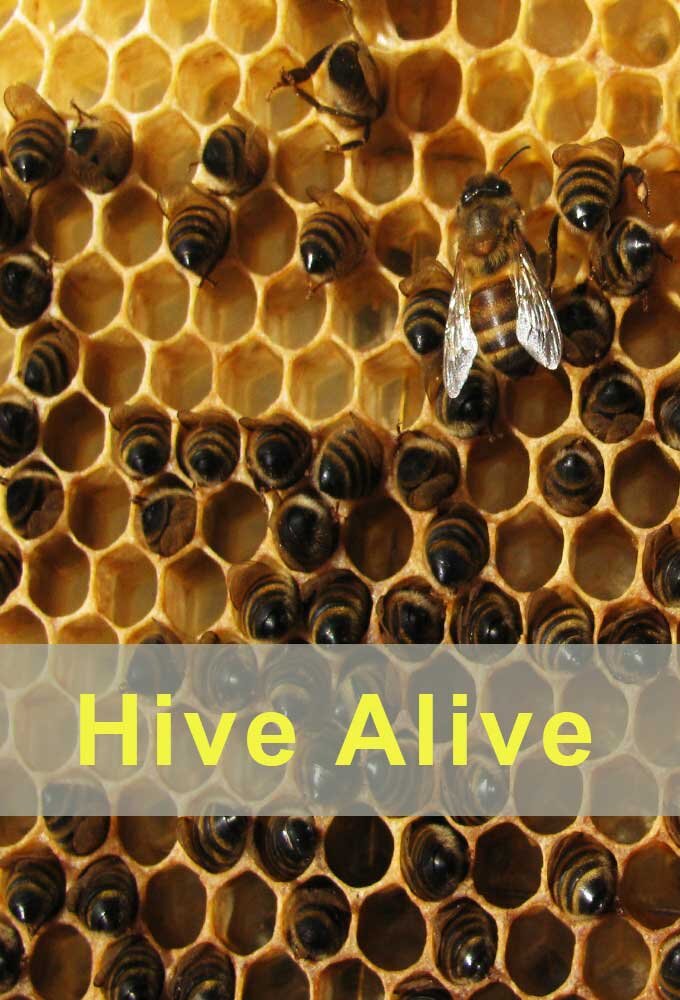 Hive Alive | TVmaze