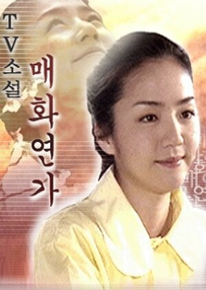 TV Novel: Flower Story poster