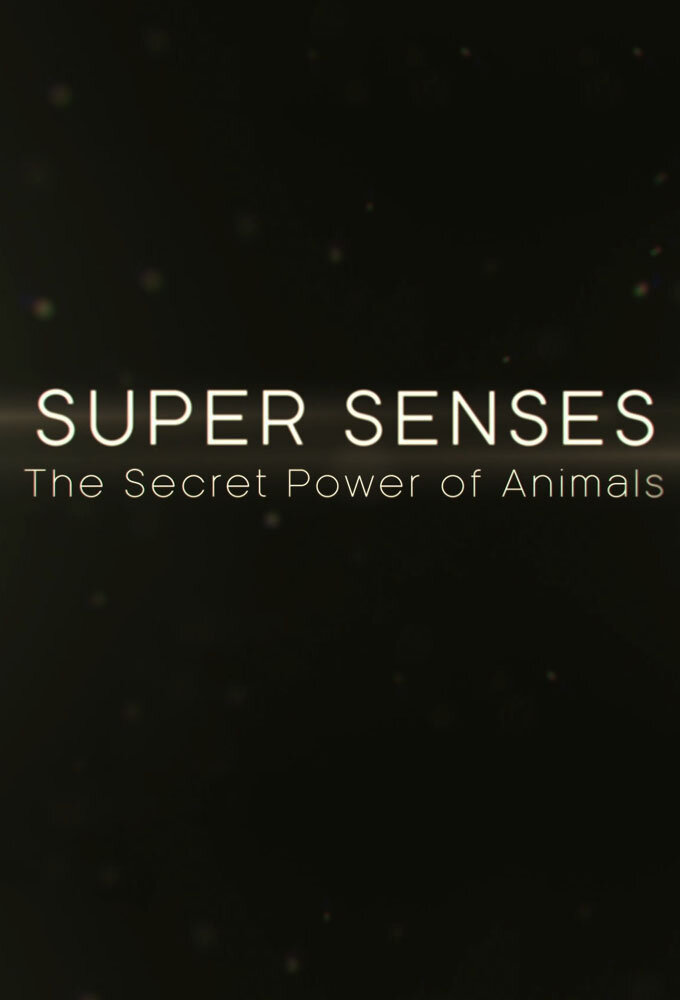 Super Senses: The Secret Power of Animals poster