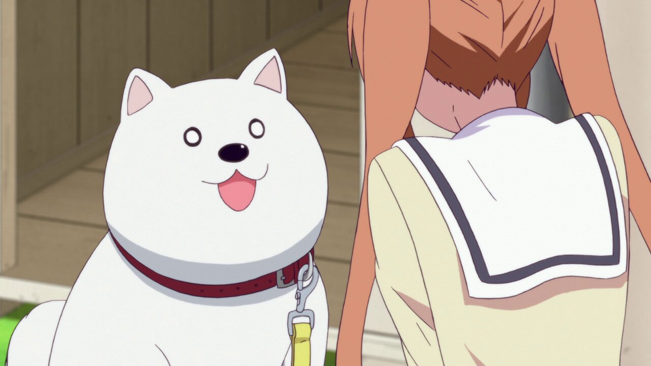 Aho-Girl S1 E11 – Final Battle! Decisive Blow! Aho Girl