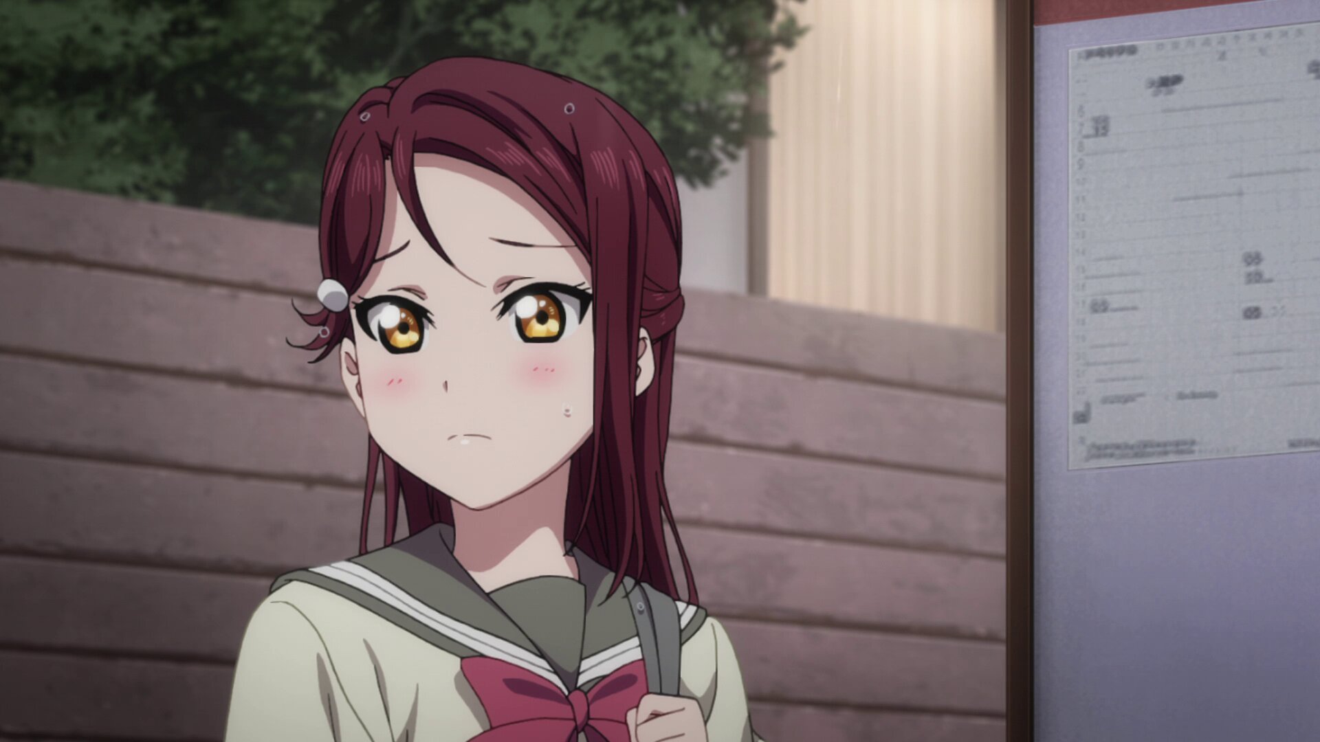 Love Live! Sunshine!! S2 E05 – Taking in a Dog