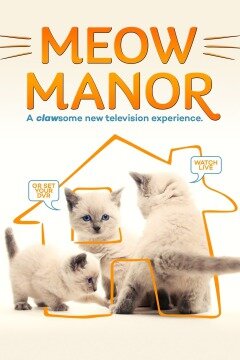 Meow Manor poster