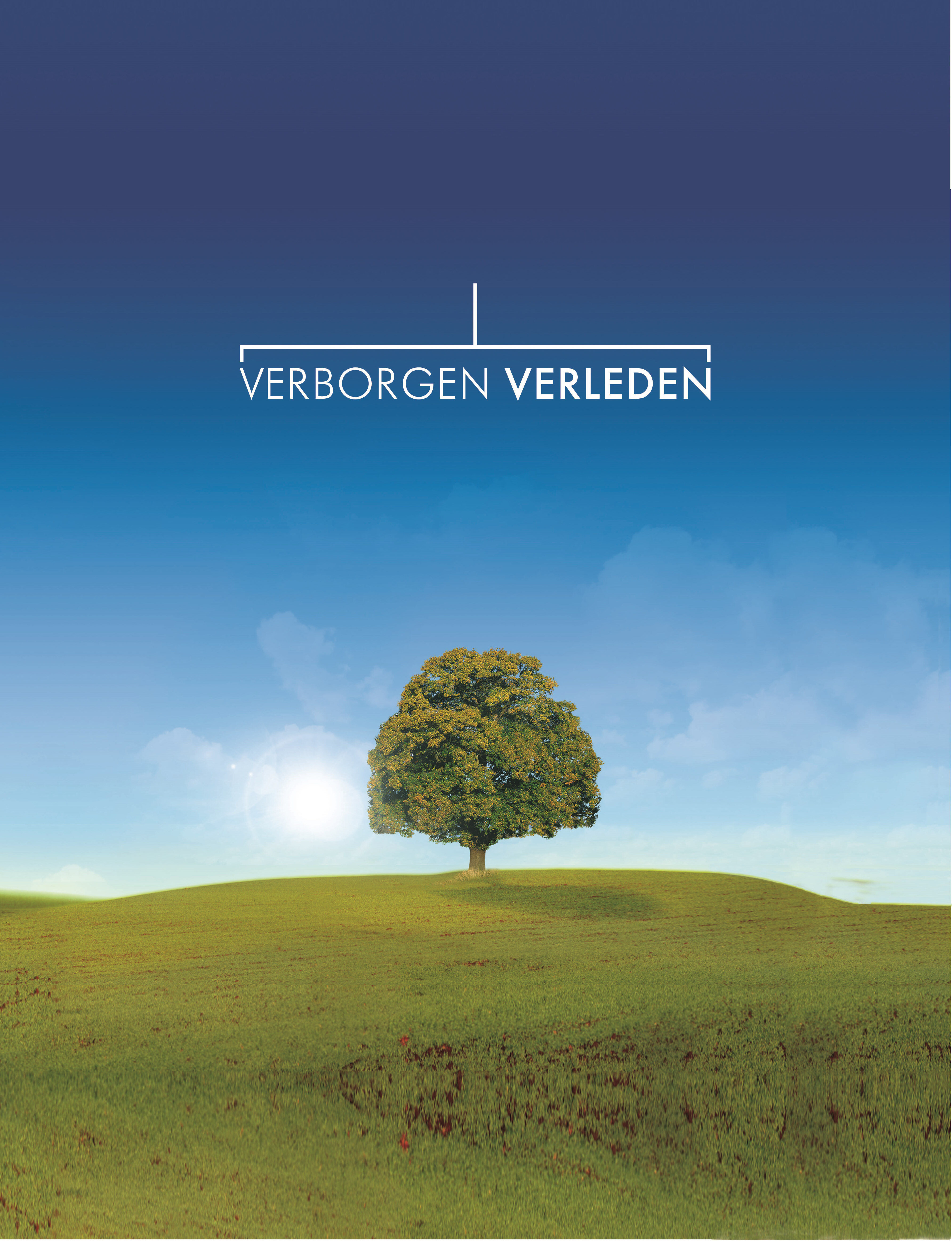Verborgen verleden poster