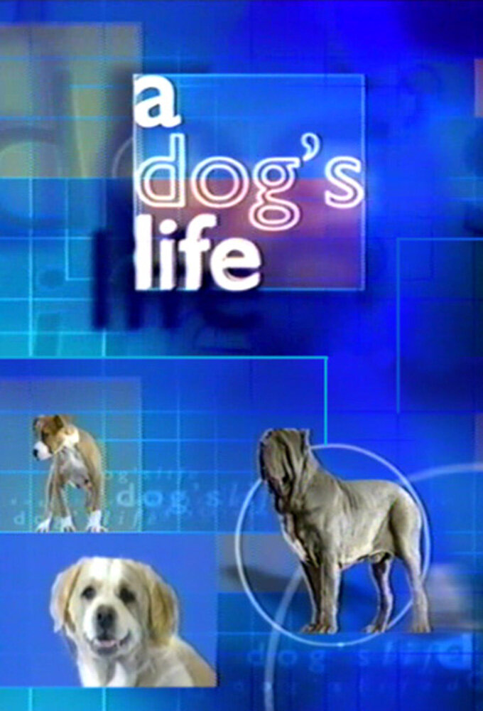 A Dog's Life poster