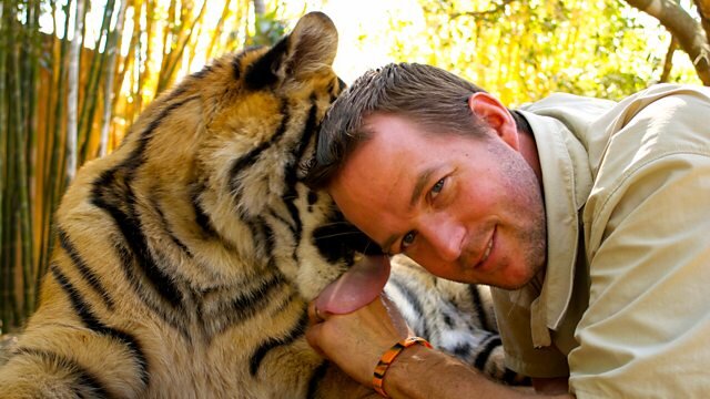 Tigers About the House S1 Special – What Happened Next Episode 2