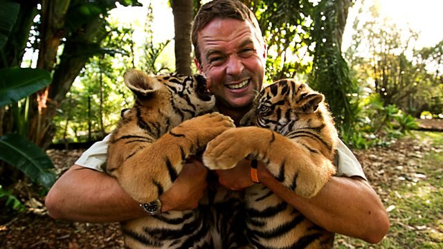 Tigers About the House S1 E03 – Episode 3