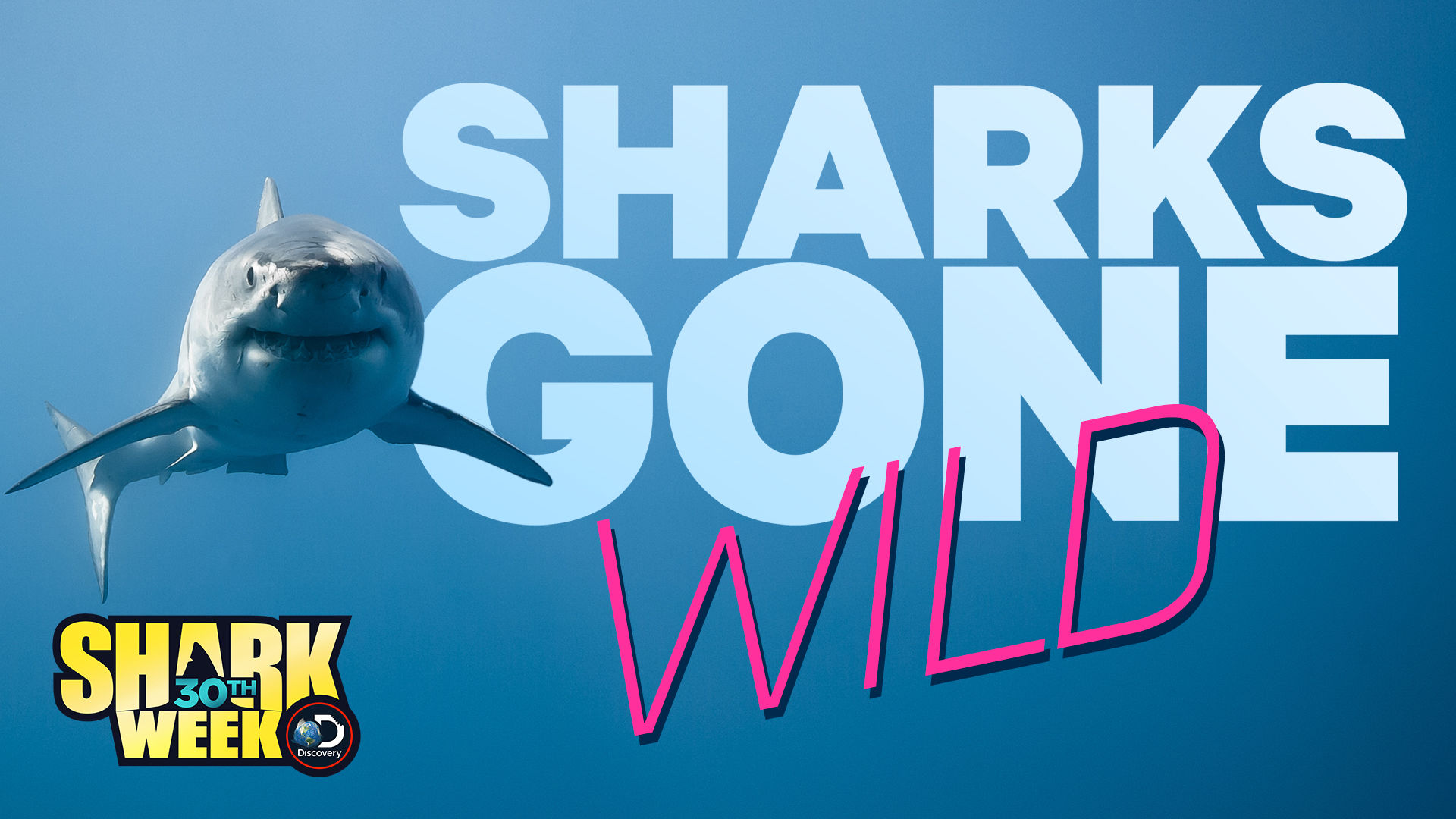 Shark week. Шоу Shark студии. Shark go. Shark is gone.