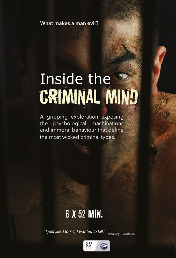 Inside the Criminal Mind poster