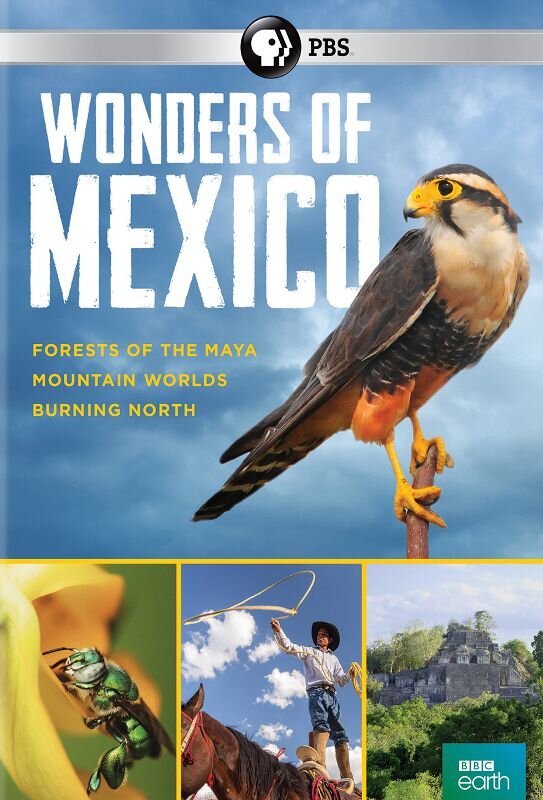 Wonders of Mexico poster