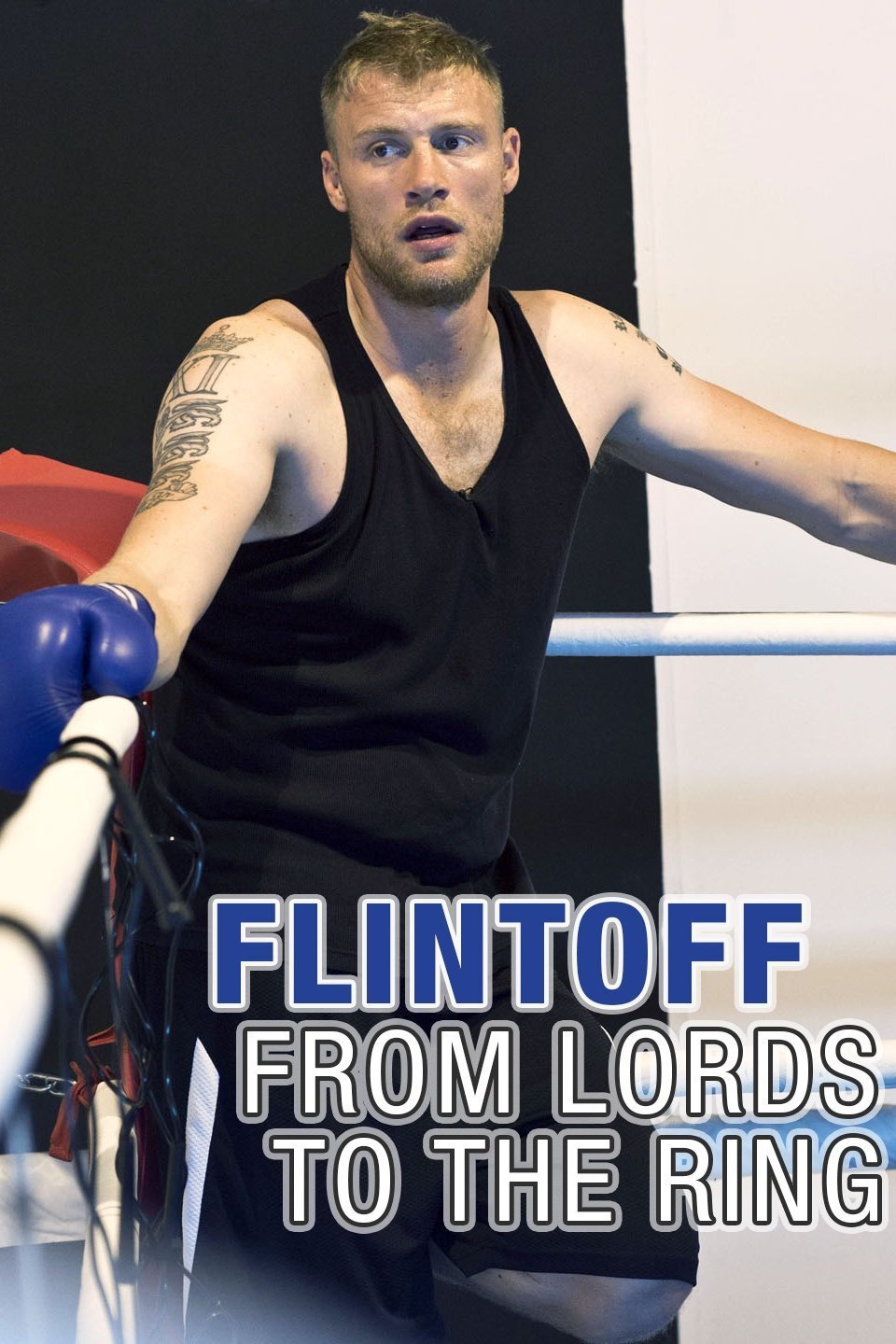 Flintoff: From Lords to the Ring poster