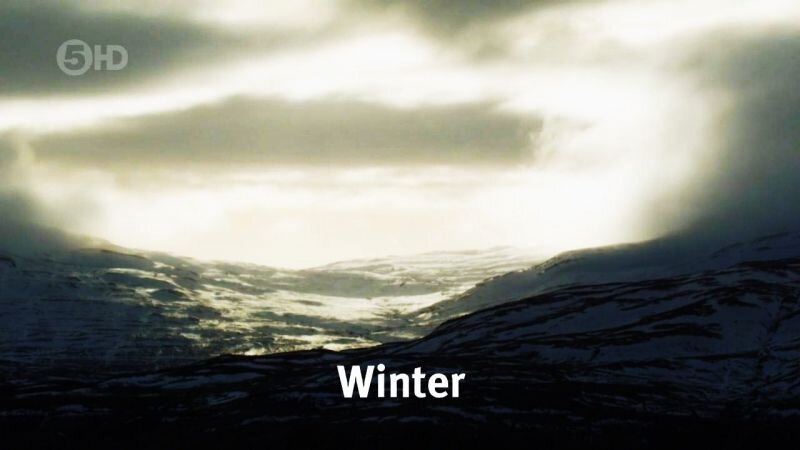 Winter