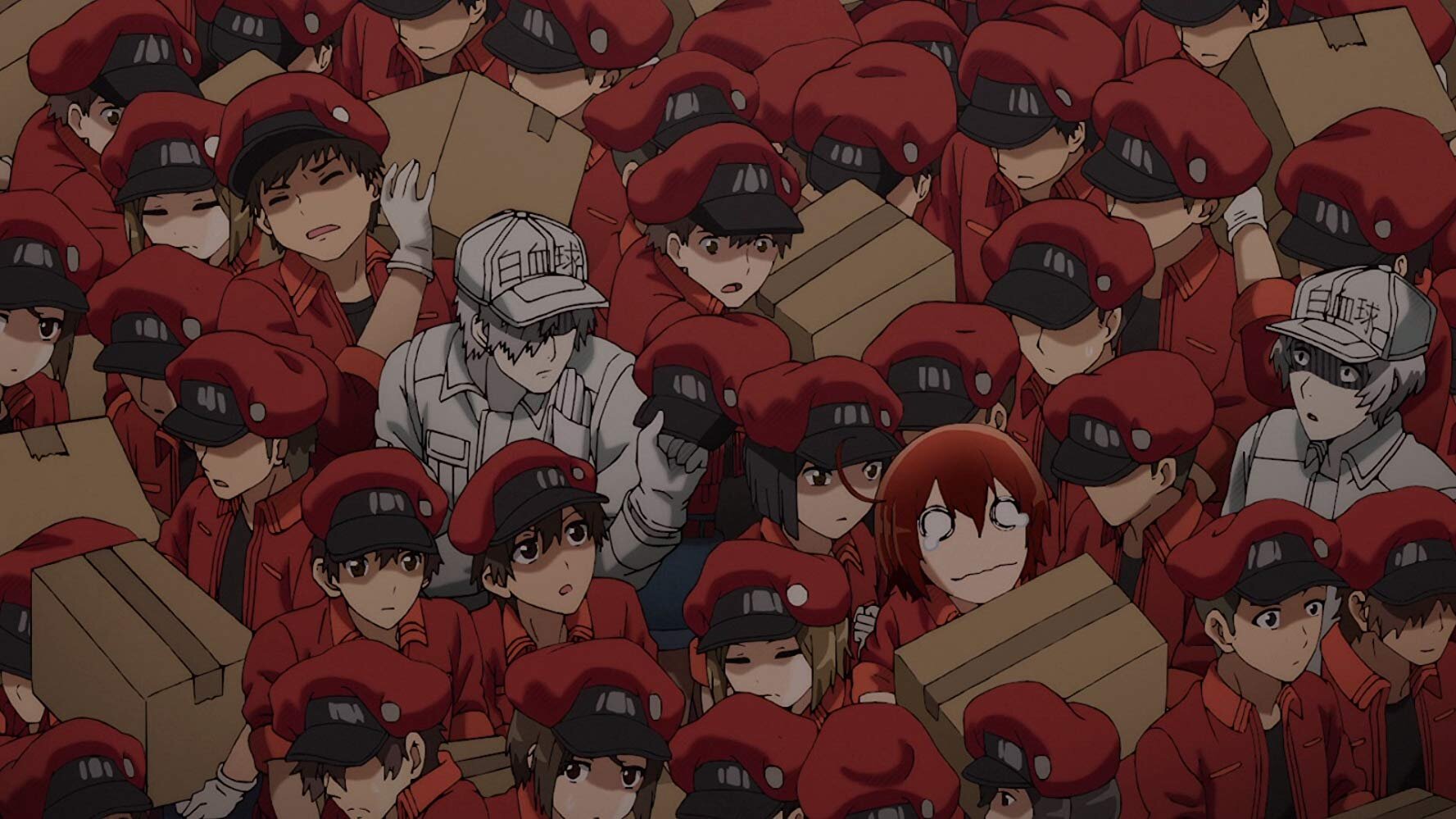Cells at Work! S1 E08 – Blood Circulation
