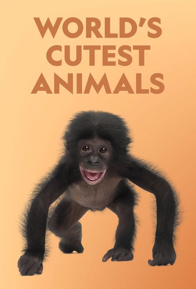 World's Cutest Animals