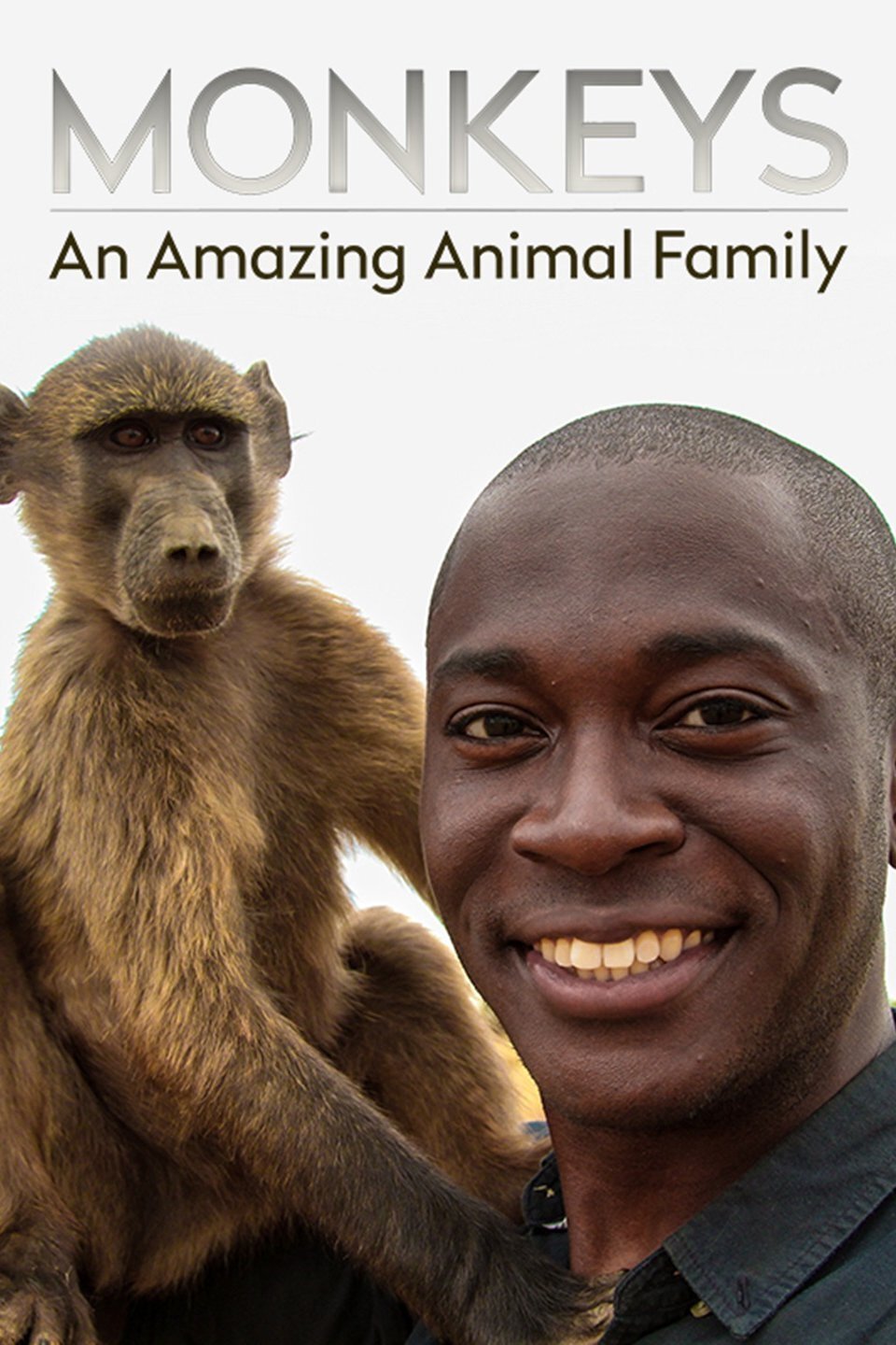 Monkeys: An Amazing Animal Family poster