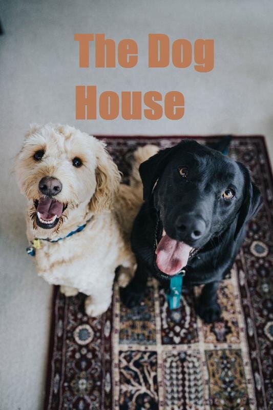 The Dog House | TVmaze