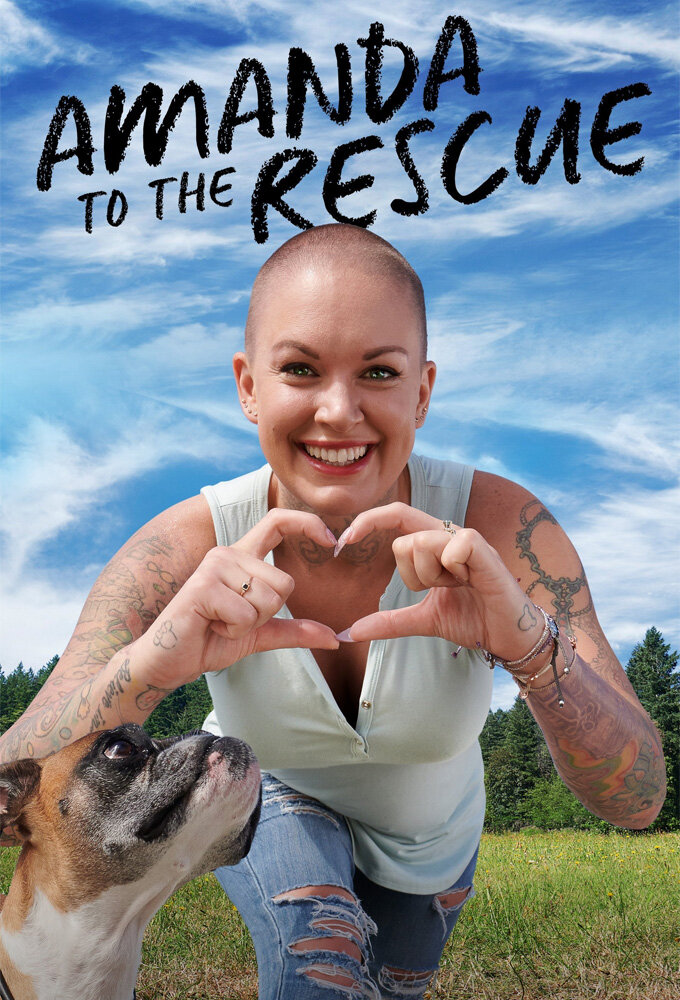 Amanda to the Rescue Season 1 poster
