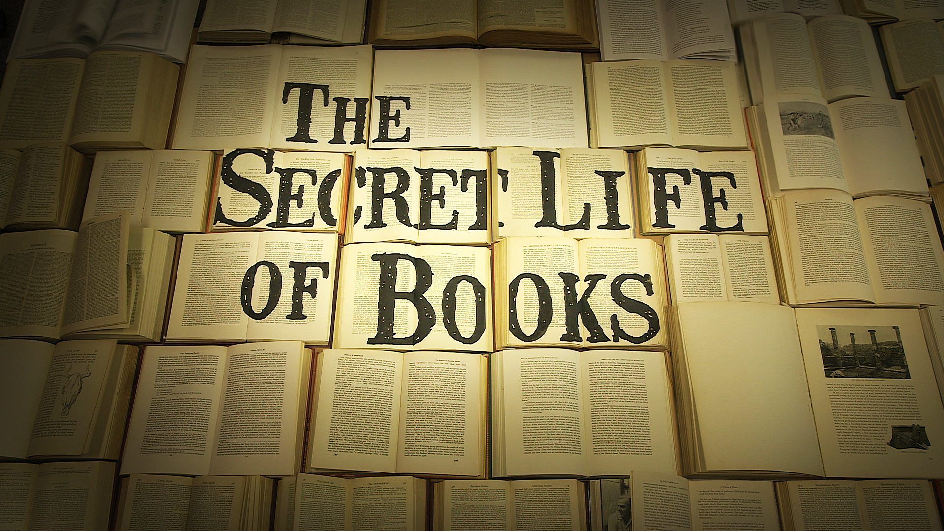 Watch secret life. The book of Secrets. The Secret Lives of Colour. The book of the Secrets o s h o.