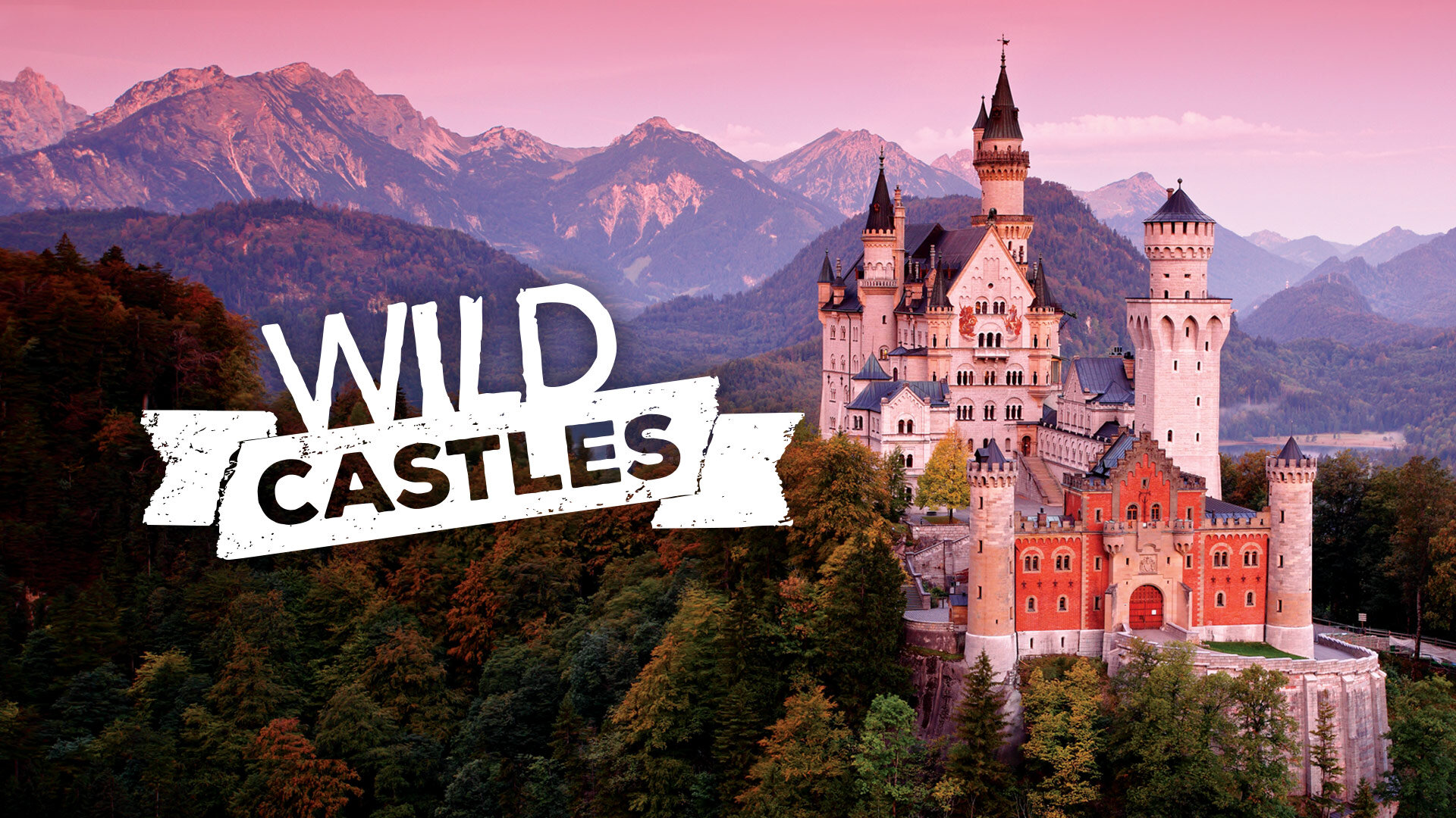 Wild castle бесплатные покупки. Wild Castle. Веднесдей сериал замок. Радость замка сериал. Wild.