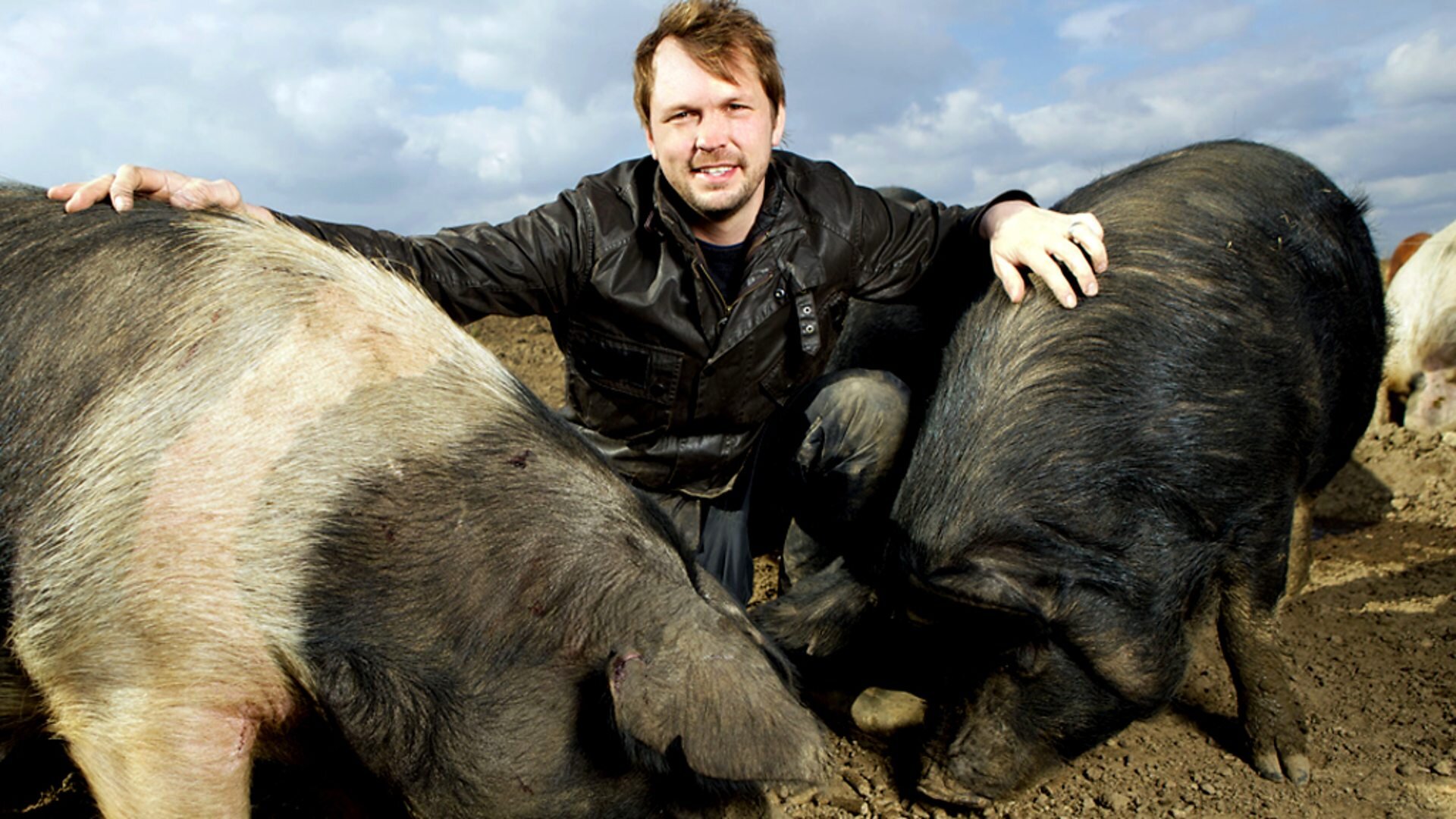 The Private Life of... S1 E03 – Pigs