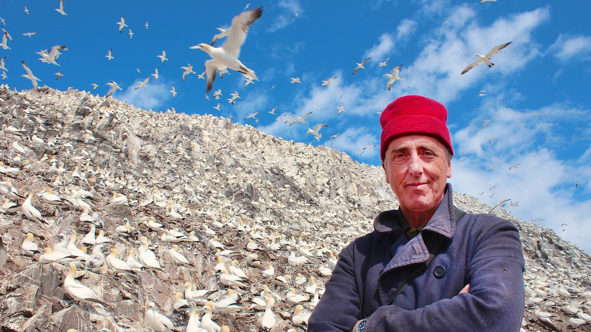 The Last Seabird Summer? S1 E01 – Living with the Birds
