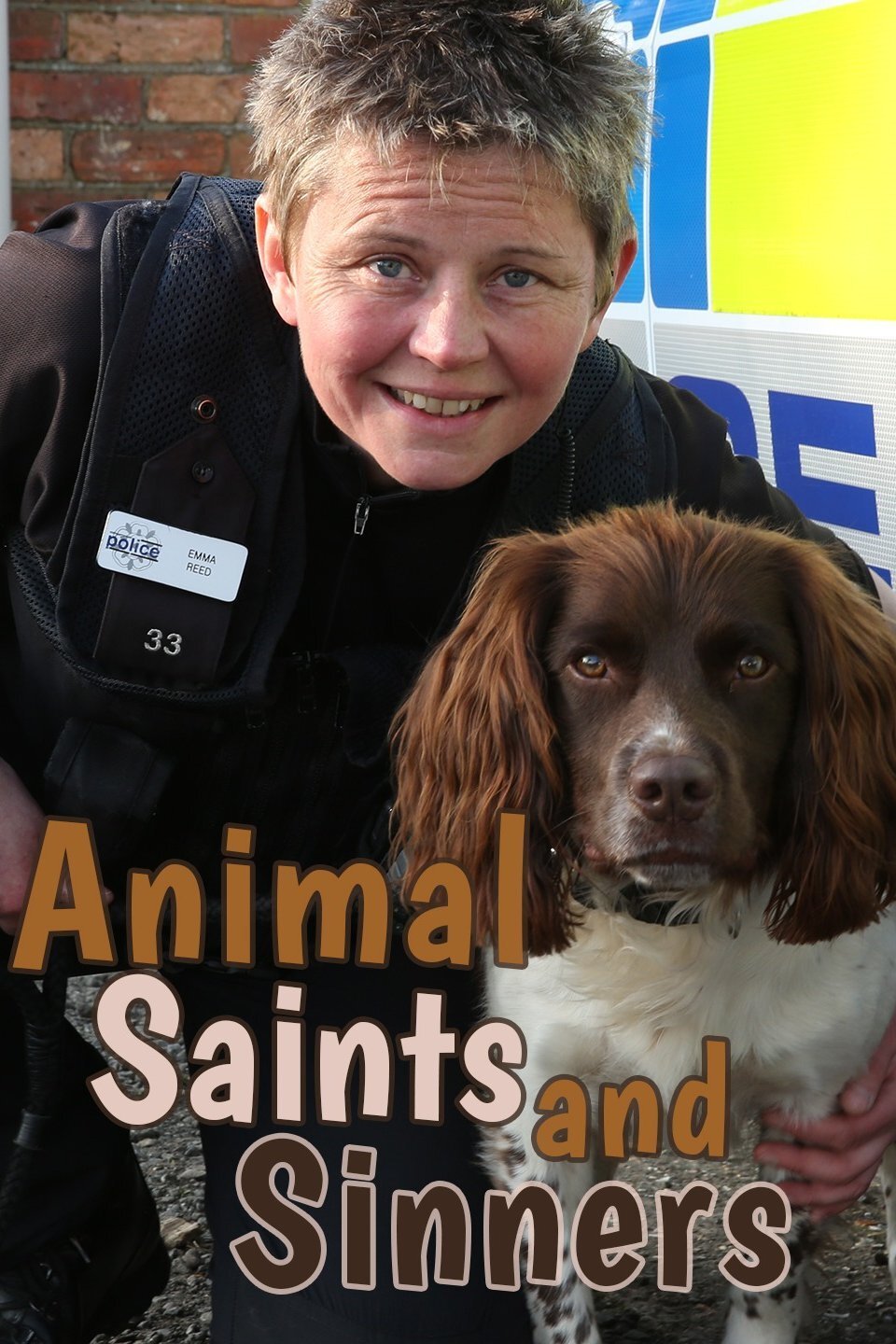 Animal Saints and Sinners poster