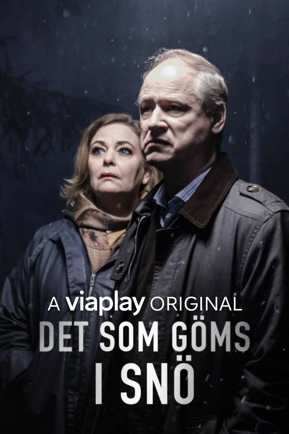 Det som göms i snö | TVmaze