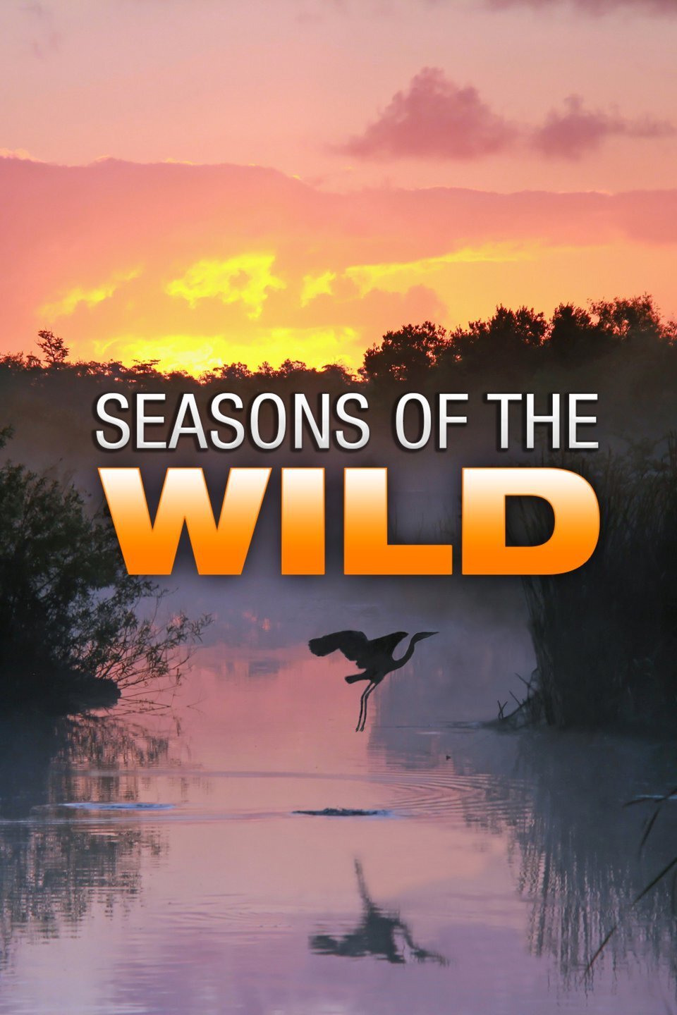 Seasons of the Wild poster