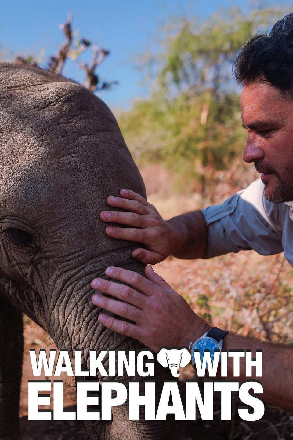 Walking with Elephants poster