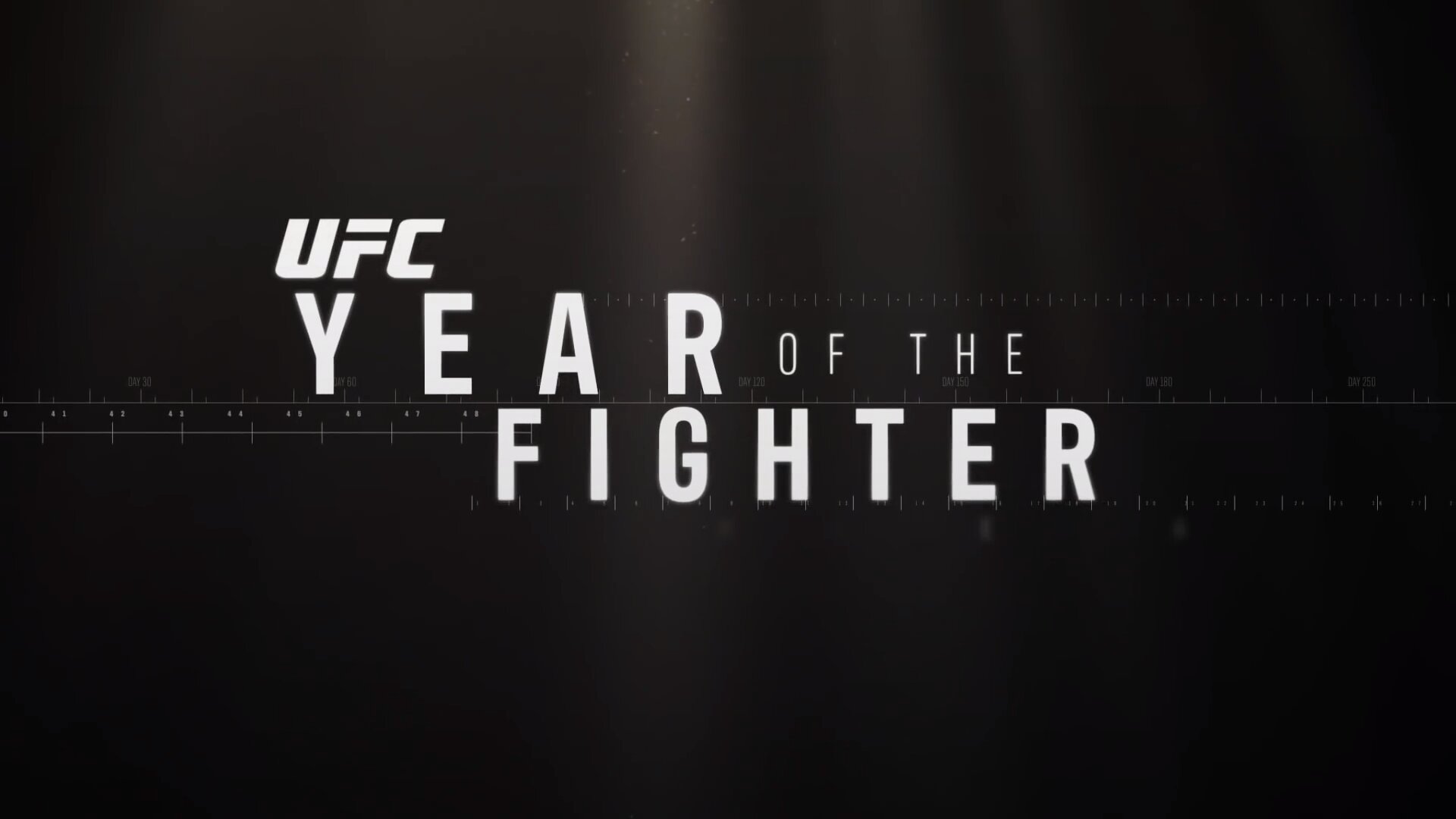 Year of the Fighter poster