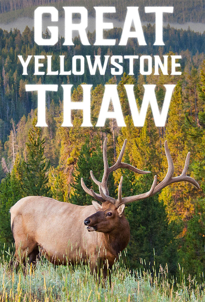 Great Yellowstone Thaw poster