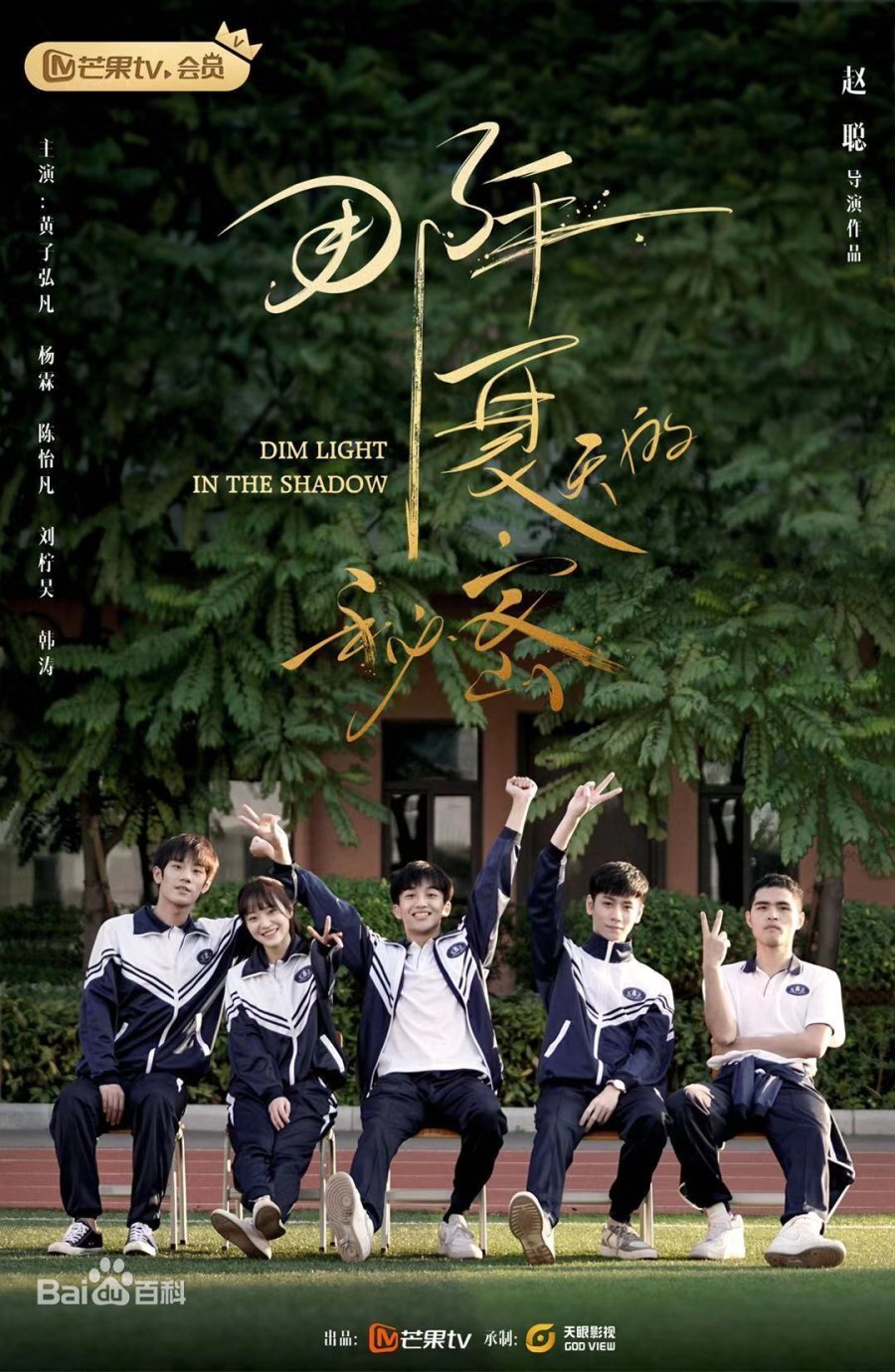 Dim Light in the Shadow poster