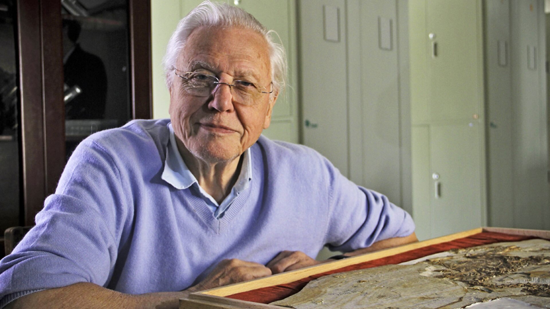 David Attenborough's Rise of Animals S1 E02 – Dawn of the Mammals