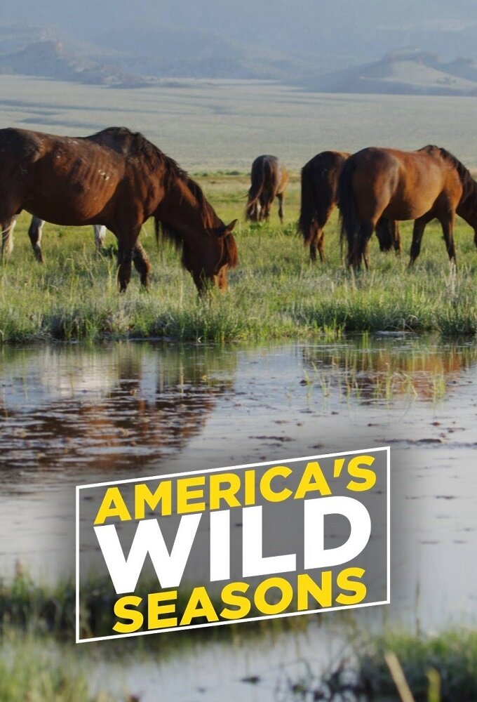 America's Wild Seasons poster