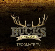 The Bucks of Tecomate poster