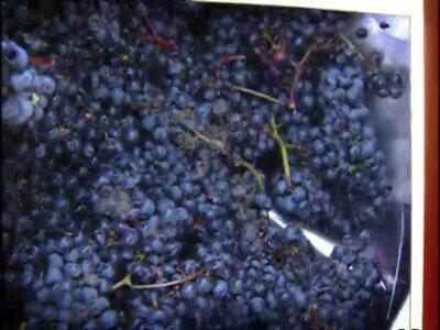 SOKO Kitzbuhel S6 E11 – Roter Wein