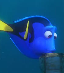 Dory