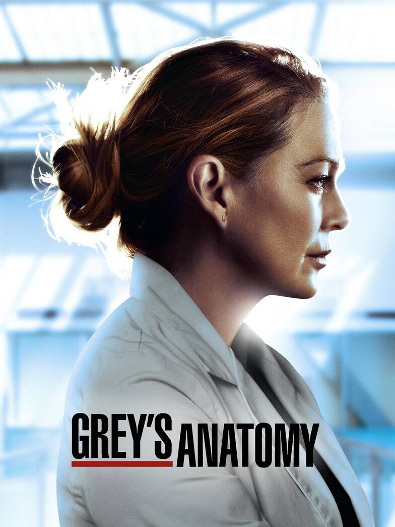 Grey's Anatomy-season-17