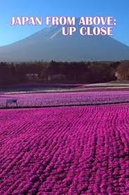 Japan from Above: Up Close poster
