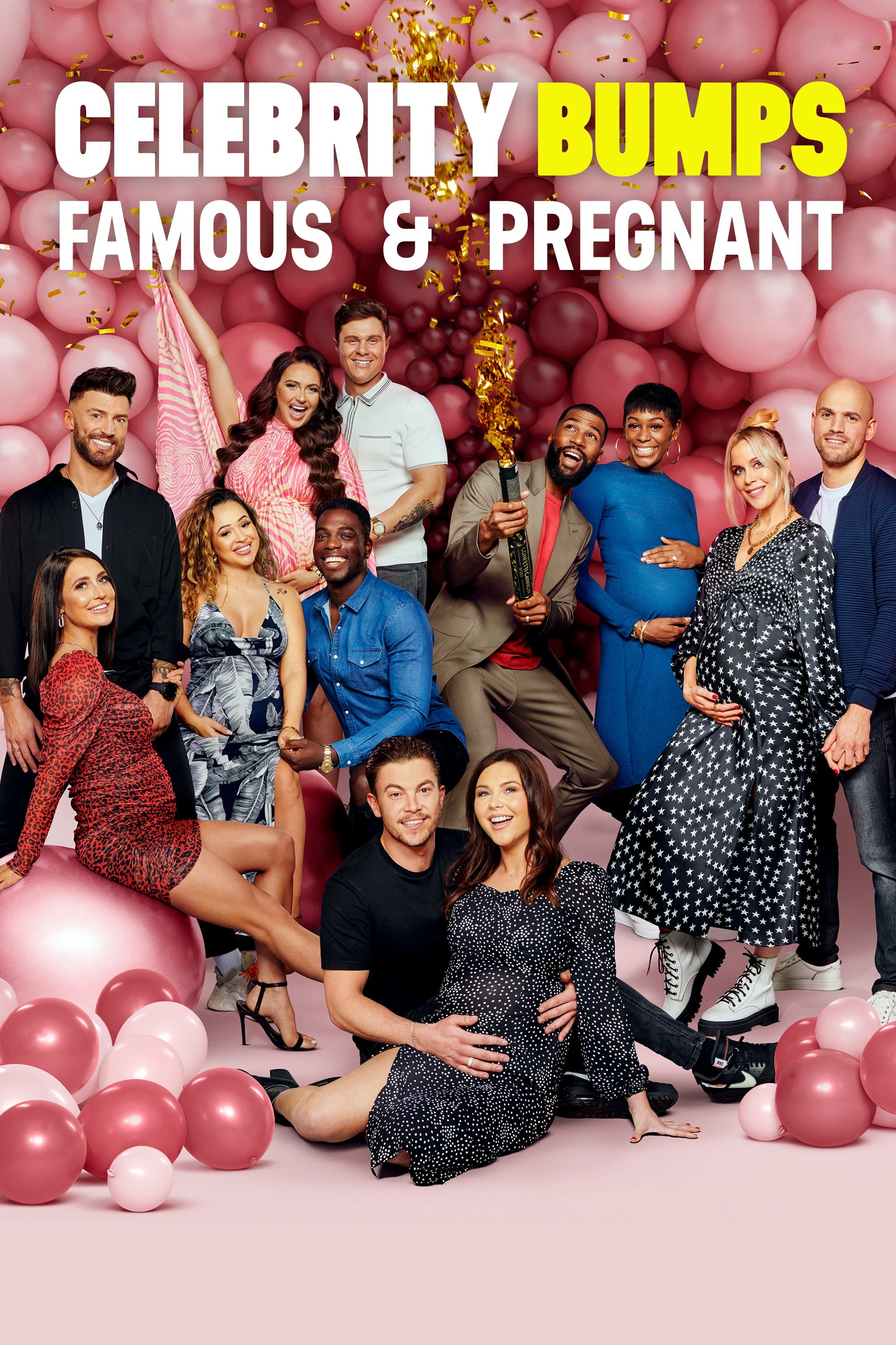 Celebrity Bumps: Famous & Pregnant