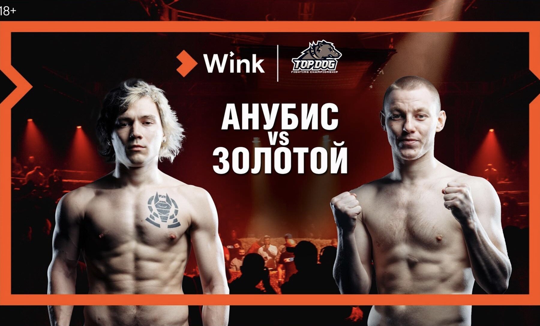 Top Dog Fighting Championship S8 E01 – MAIN EVENT TDFC VIII