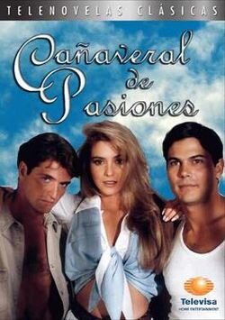 Cañaveral de pasiones poster