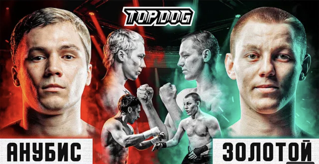 Top Dog Fighting Championship S8 E02 – Анубис vs. Золотой | Главный бой вечера |