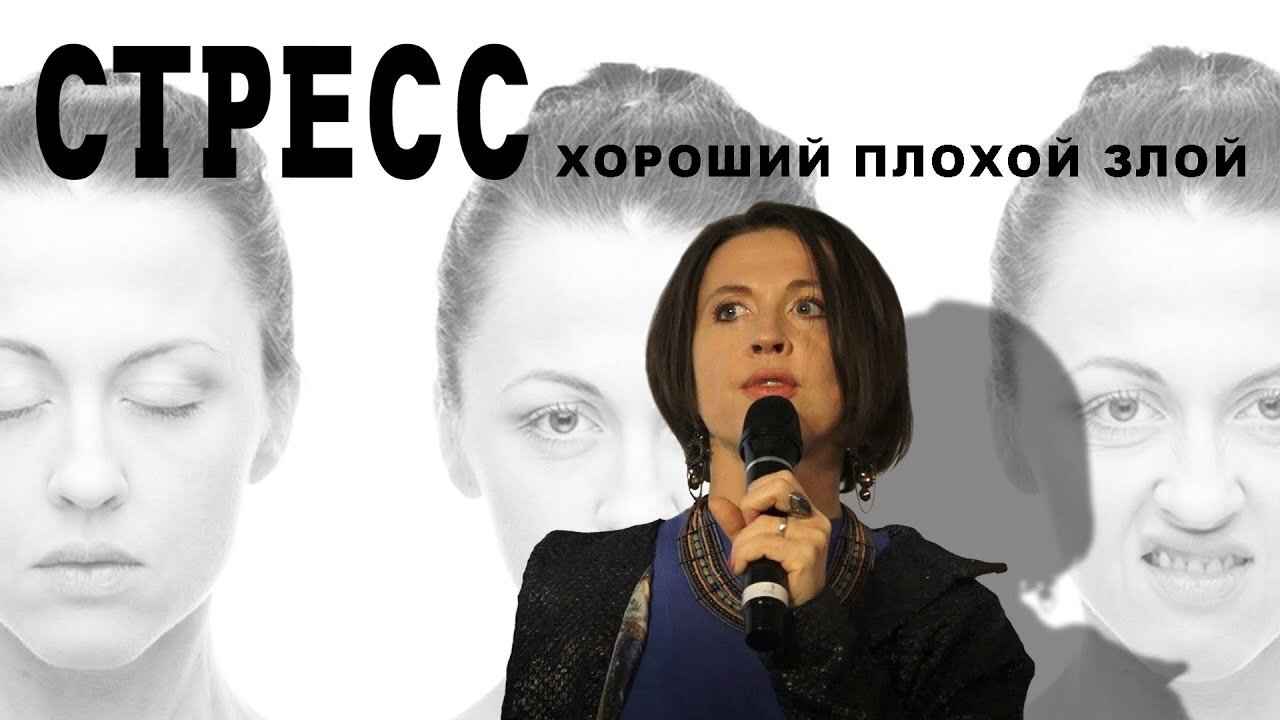 Всё как у зверей S10 Special – Стресс: хороший, плохой, злой (Лекция)