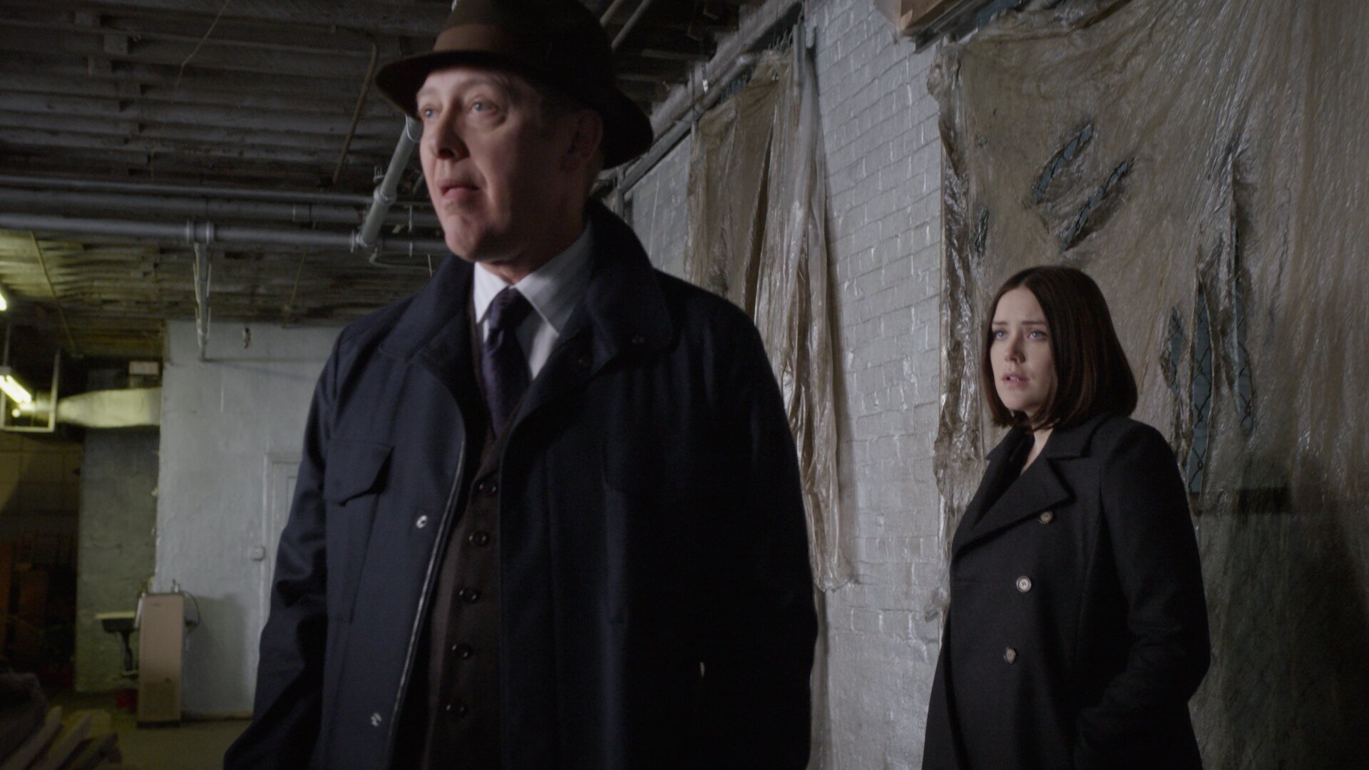 Lady Ambrosia (No. 77) - The Blacklist 3x14 | TVmaze