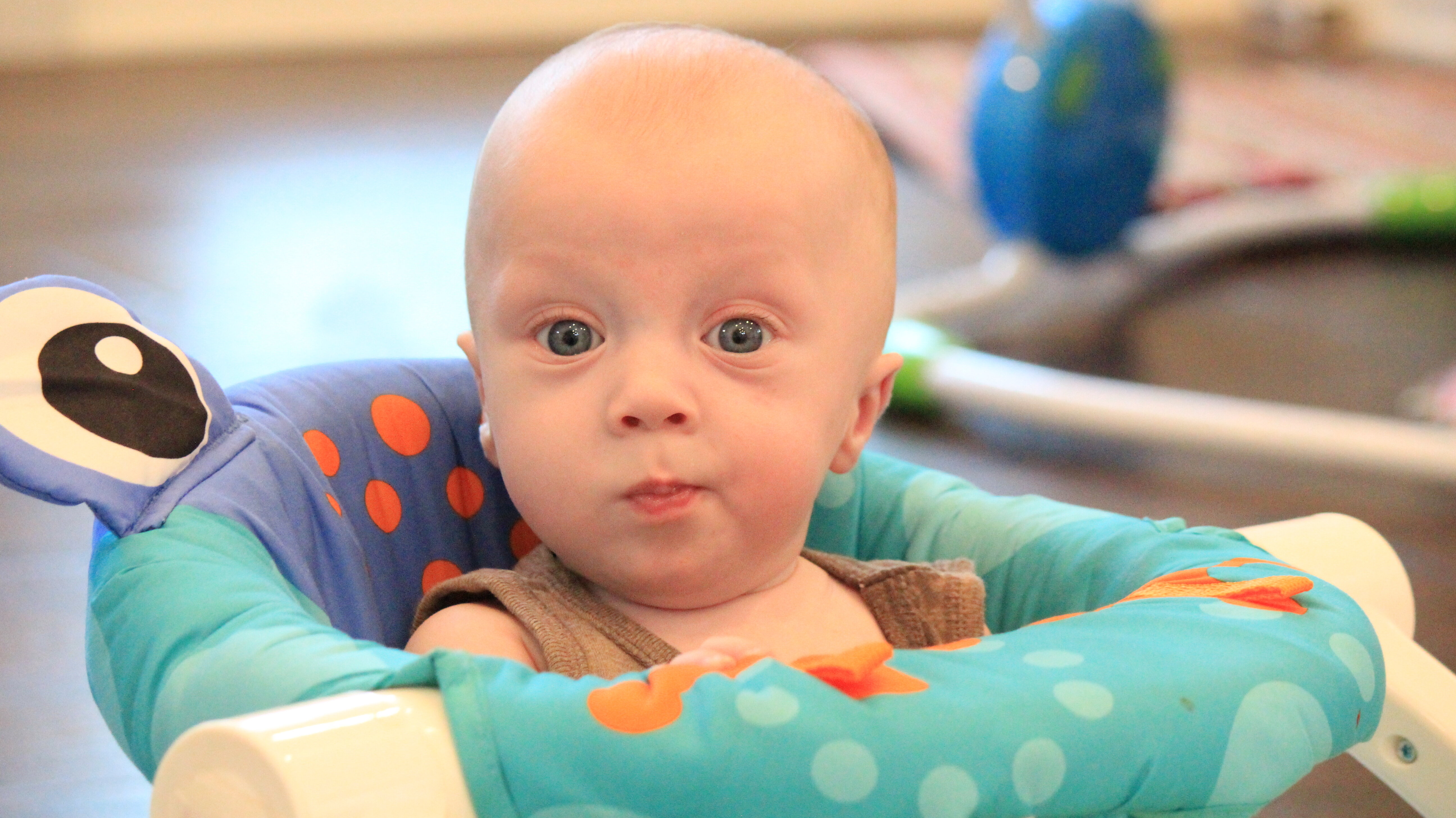 Milestones & Meltdowns
