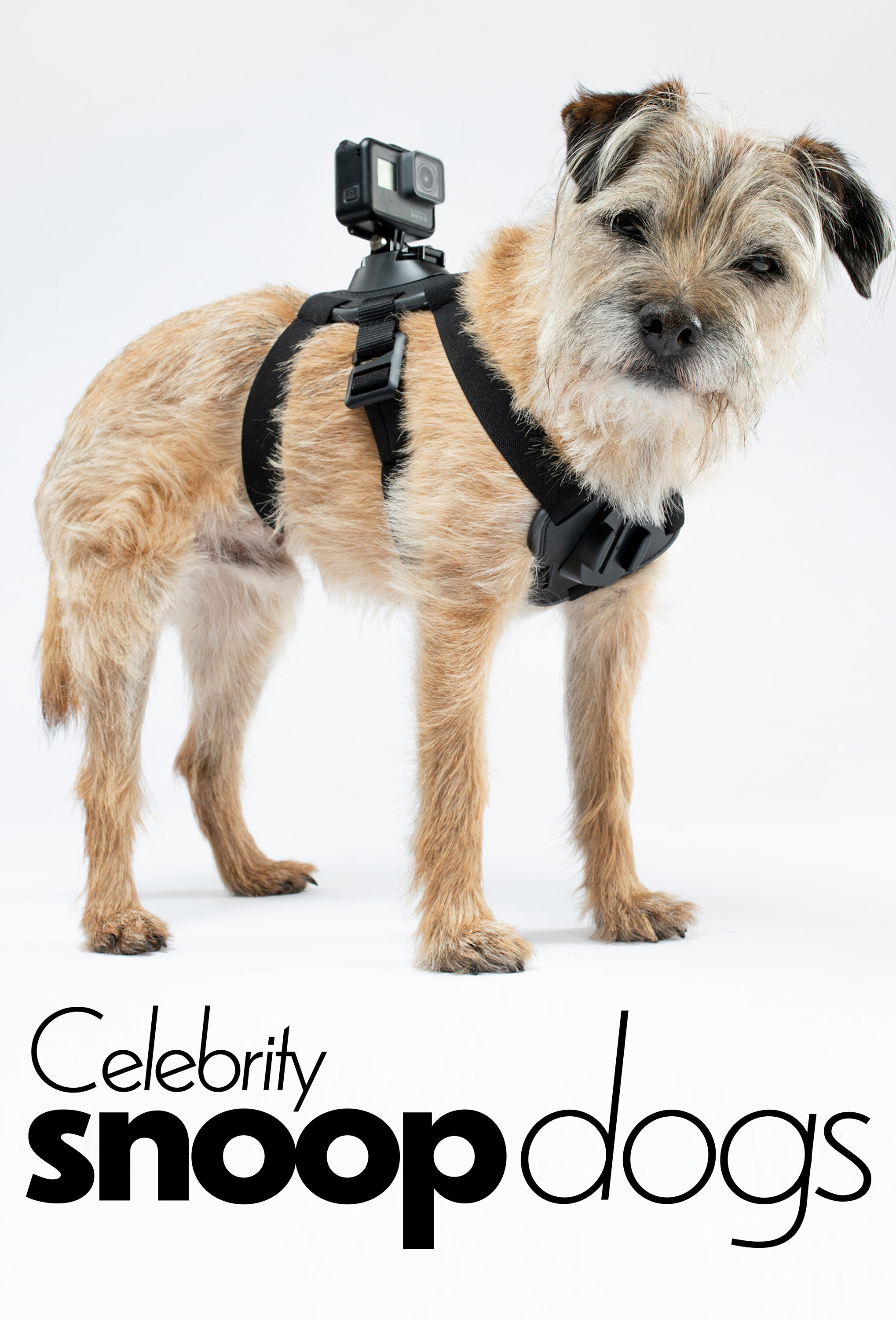 Celebrity Snoop Dogs poster