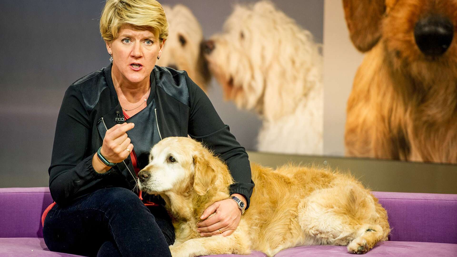 Best of Crufts S1 E04 – Crufts Goes Walkies