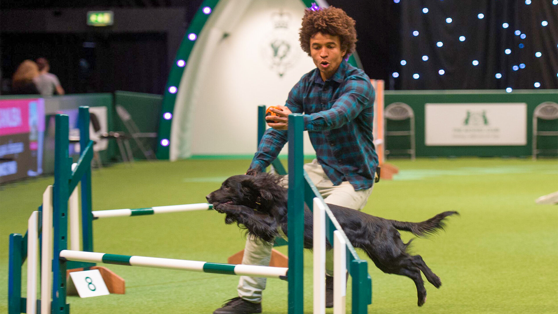Best of Crufts S1 E05 – Best In Show
