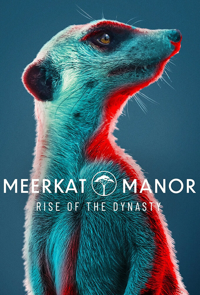 Meerkat Manor: Rise of the Dynasty poster