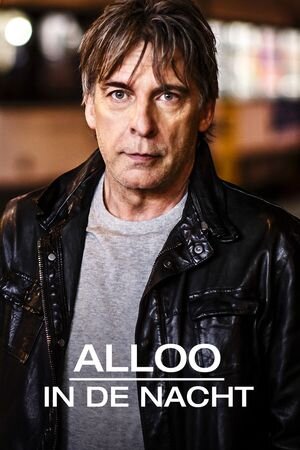 Alloo in de nacht poster
